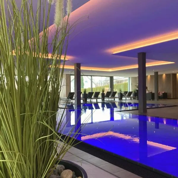 特劳布艾西酒店，位于腓特烈港的酒店