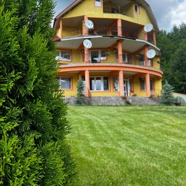 Casa Potcoava，位于Greşu的酒店