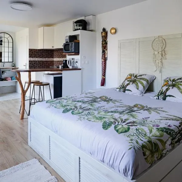 Maisonnette cosy bord de Seine 30min paris，位于卡里雷斯索珀斯的酒店