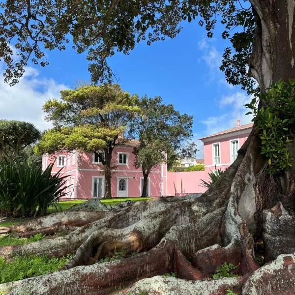 Solar dos Cantos Botanic House & Garden，位于Relva的酒店