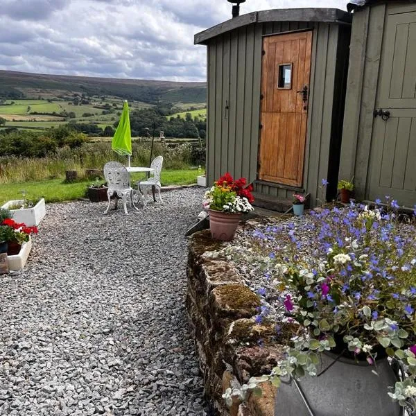 Shepherd's Hut Bilsdale，位于诺斯阿勒顿的酒店