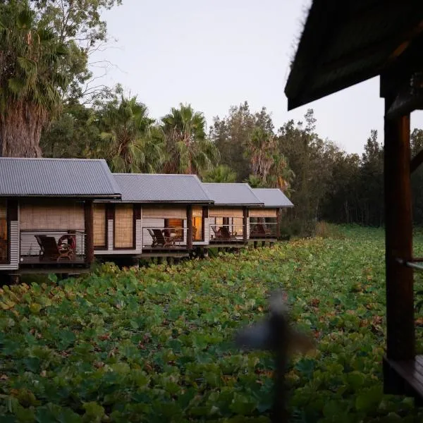 The Boathouses at Leaves & Fishes，位于Lochinvar的酒店