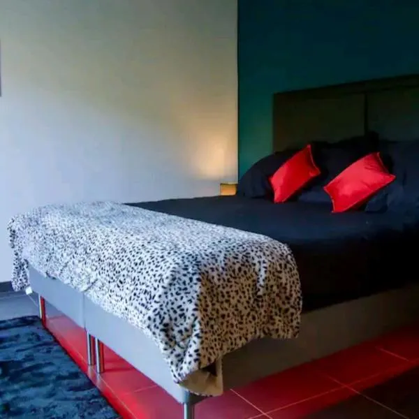 Studio Cosy, jardin privatif，位于Genilac的酒店