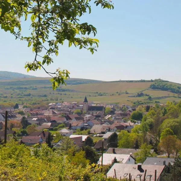 Villa Bonita del Kaiserstuhl，位于凯萨斯图尔地区萨斯巴赫的酒店