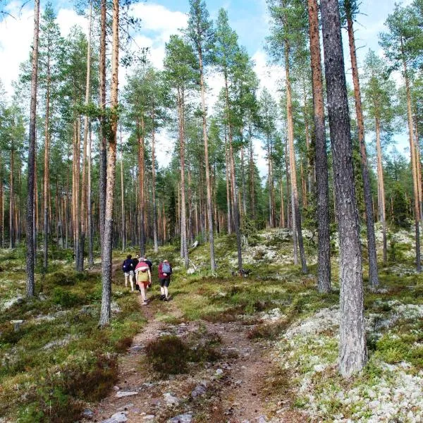 15-Nasjonalpark, sykling, fisking, kanopadling, skogs- og fjellturer，位于Ljørdal的酒店
