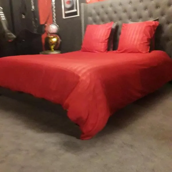 LOVE ROOM Le rouge et noir，位于巴尔的酒店