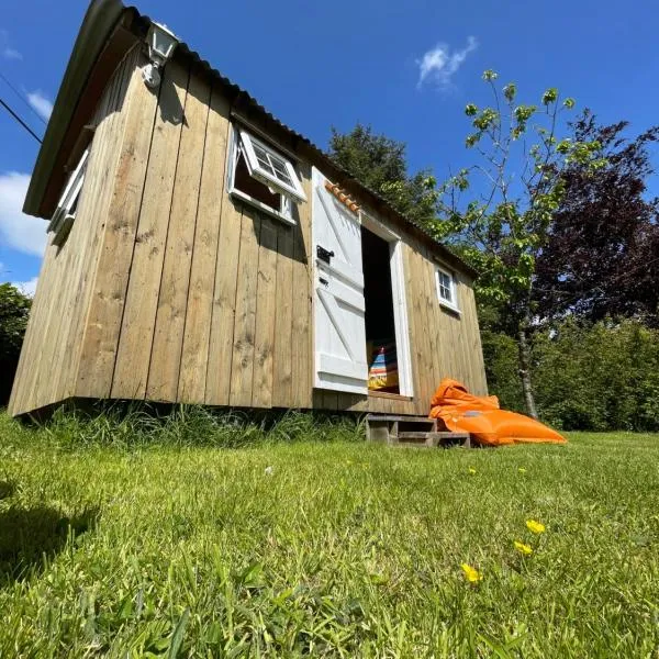 Shepherds Hut - Brecon Beacons，位于Llangadog的酒店