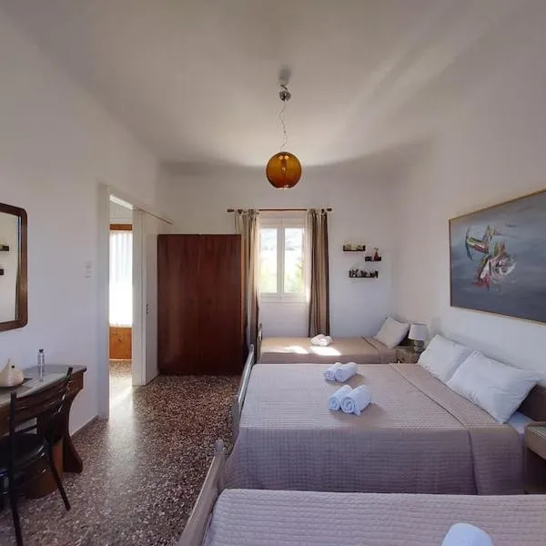 Ioanna's House@Foinikas Syros，位于菲尼卡斯的酒店