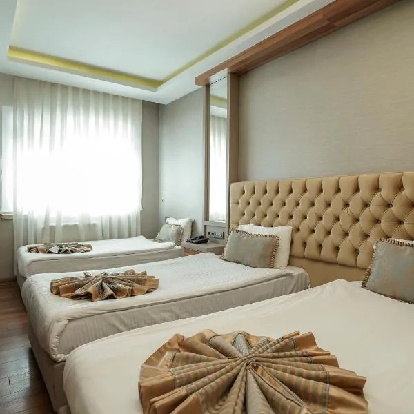 艾纳吉澳特尔酒店，位于安卡拉的酒店