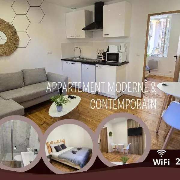 Appartement moderne et contemporain, Wifi, 2 pers，位于Pau的酒店