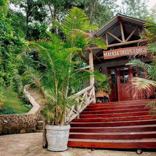 Malkia Trees Lodge，位于Nkoaranga的酒店
