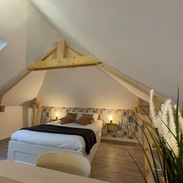 Thuit de l'Oison - Magnifique appart F2 duplex，位于Le Thuit-Simer的酒店