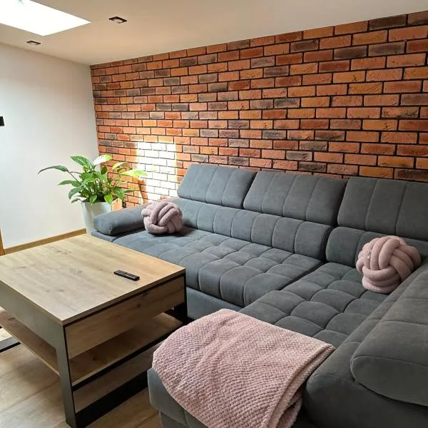 LUX HOUSE Roztocze Sauna i Bania z hydromasażem，位于克拉斯诺布鲁德的酒店