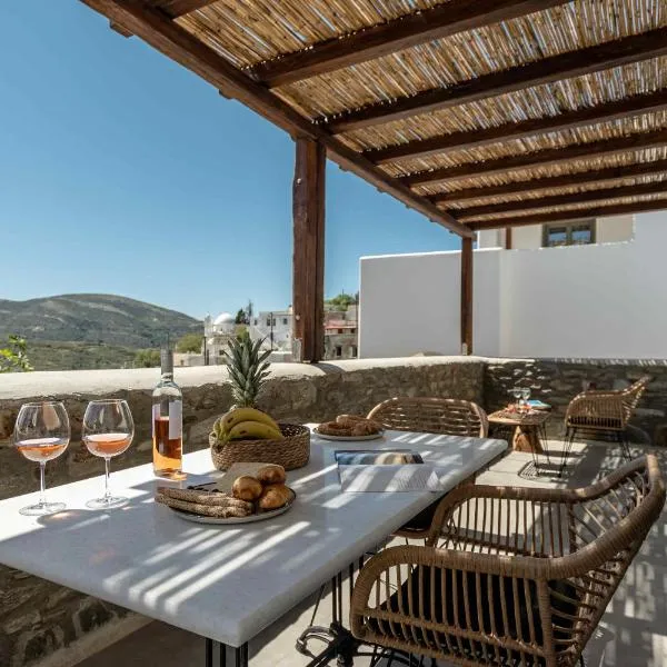 Ktima Drilli - Experience the authentic Naxian lifestyle，位于Áno Potamiá的酒店