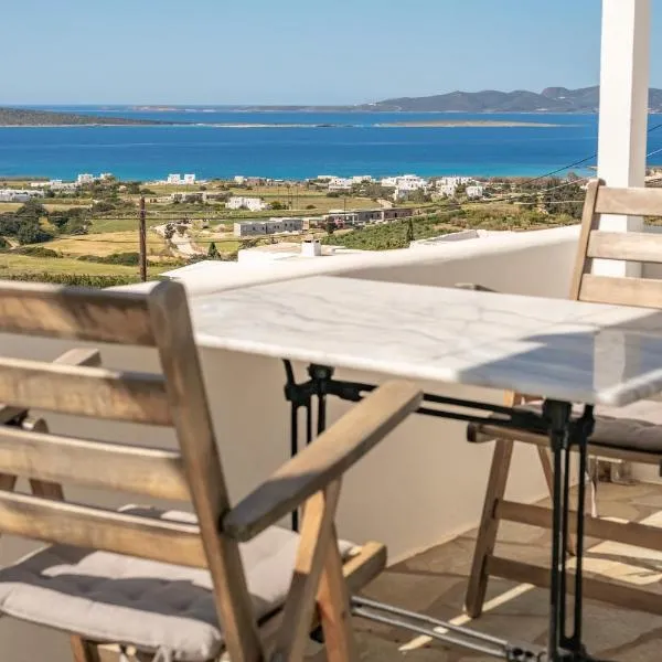 VILLA ALYKI SEA VIEW PAROS，位于帕罗斯岛的酒店