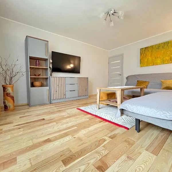 La Vida apartment，位于德鲁斯基宁凯的酒店