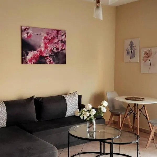 Thetis chamber，位于亚历山德鲁波利斯的酒店