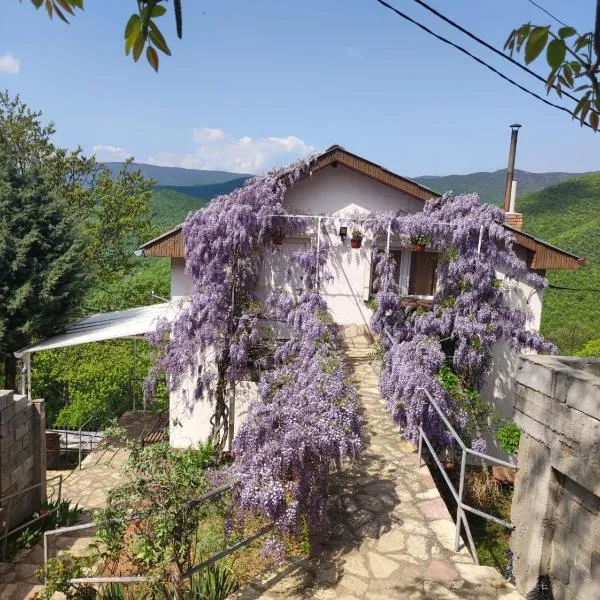 Vila Fantastico，位于斯科普里的酒店