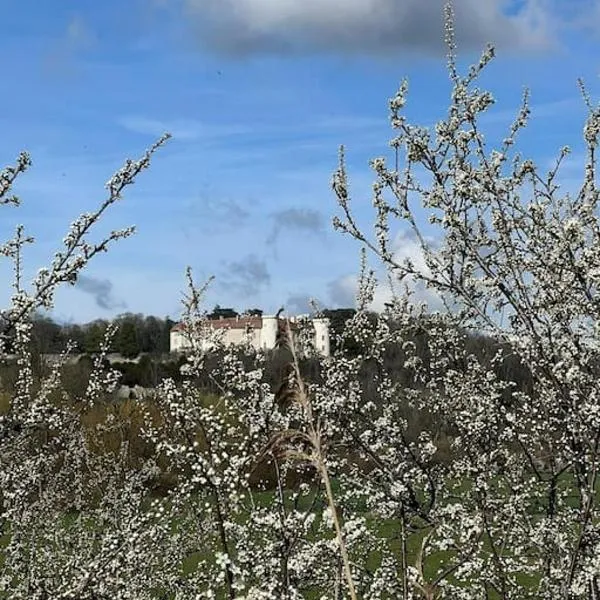 Maison Ray Sur Saône，位于Suaucourt-et-Pisseloup的酒店