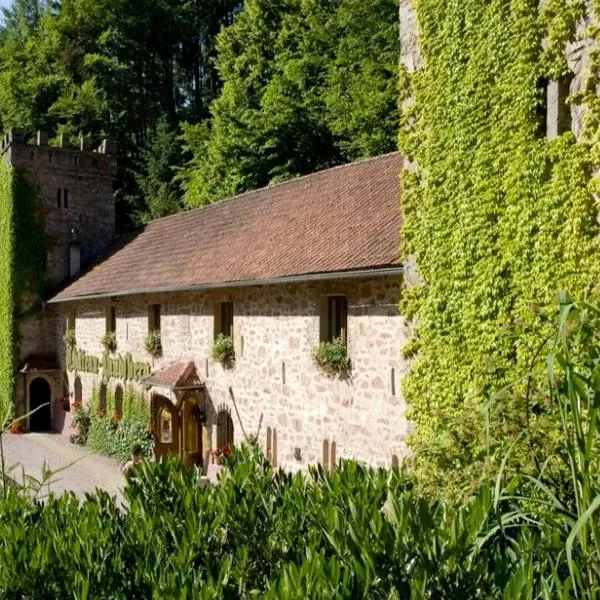 Le Château du Landsberg，位于米泰尔贝尔甘的酒店