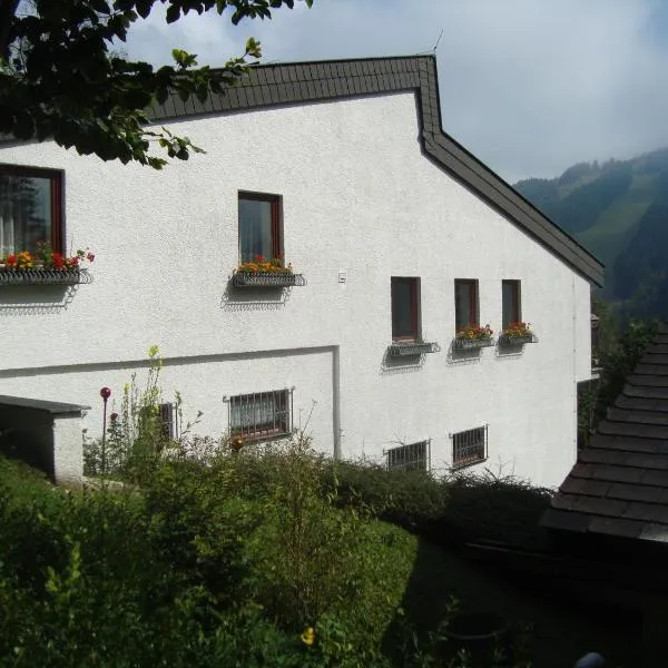 Semmering Villa Sonnenschein，位于赖兴瑙的酒店