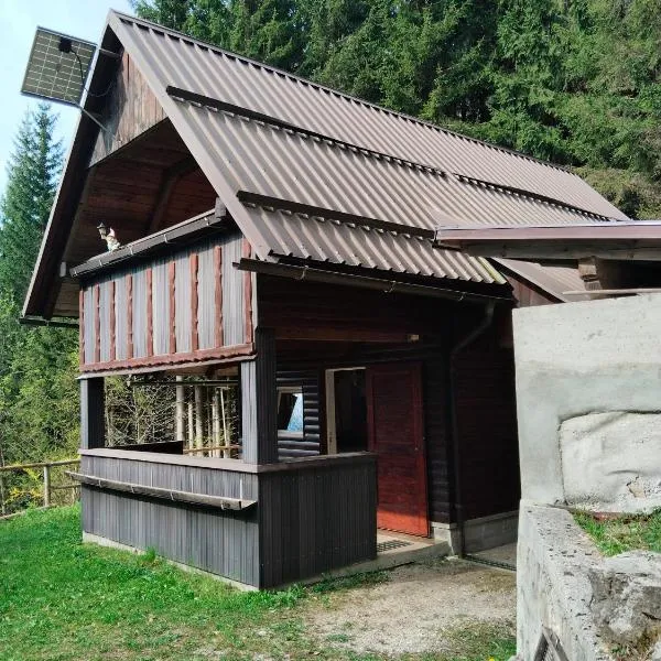 Wooden Treasure，位于耶塞尼采的酒店