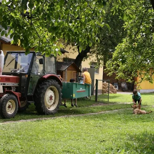 Bauernhof-Pension Puschnikhof，位于Unternarrach的酒店