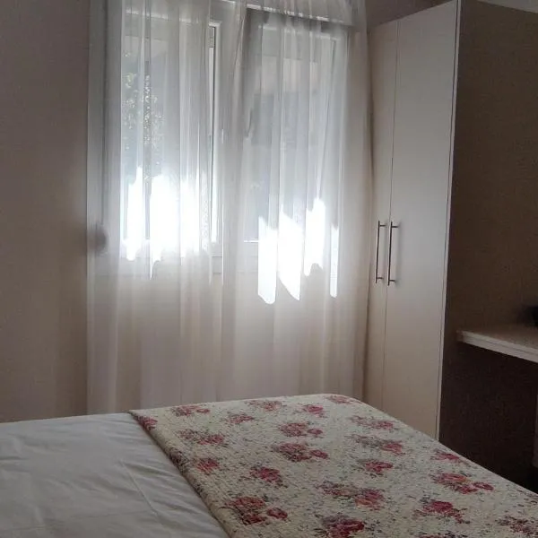 Aristo Central Apartments，位于约阿尼纳的酒店