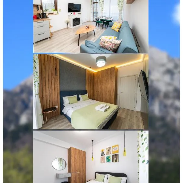 Cross Caraiman View 2，位于布什泰尼的酒店