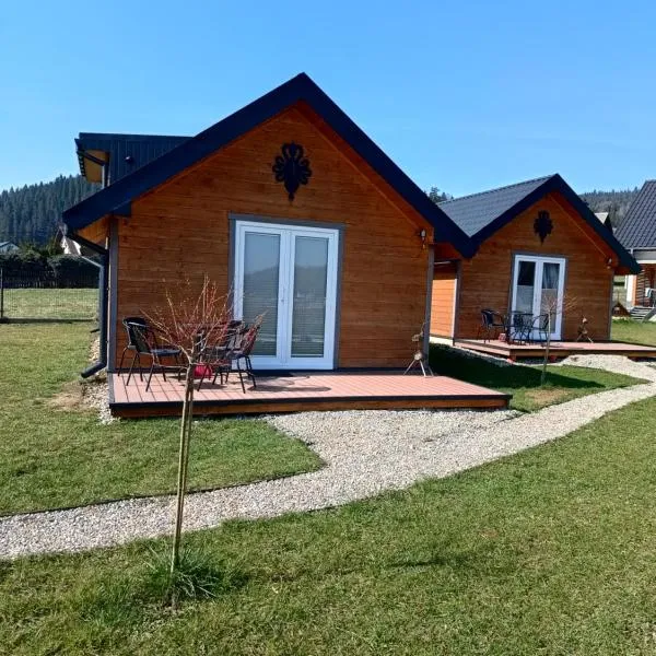 Spiska Dolina，位于拉普斯尼恩的酒店