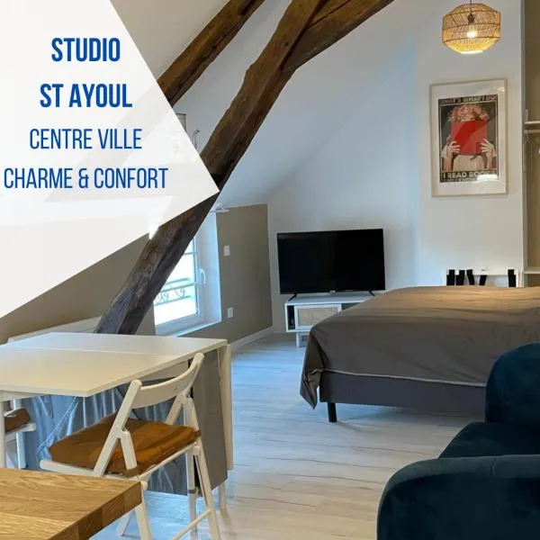 Studio Saint Ayoul，位于普罗万的酒店
