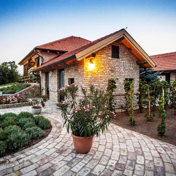 BÉNI family wine farm，位于Tápiógyörgye的酒店