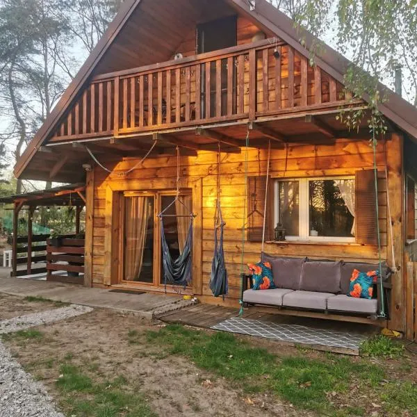 Dream Forest Cabin，位于Strachów的酒店