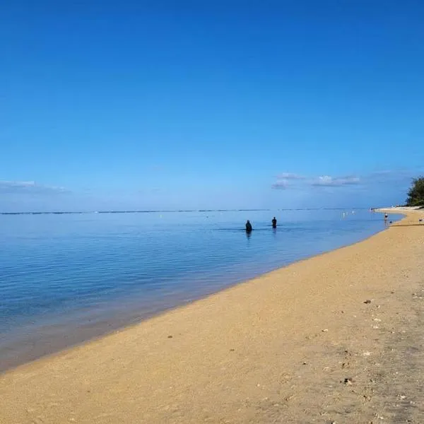 T2 Bord de plage Saline les Bains，位于圣保罗的酒店