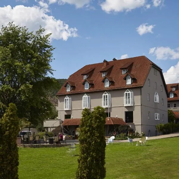 文思领事馆酒店，位于Freimersheim的酒店