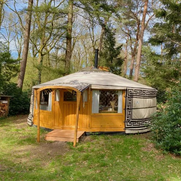 Ons Yurt Huisje in het Bos，位于宾斯霍滕的酒店