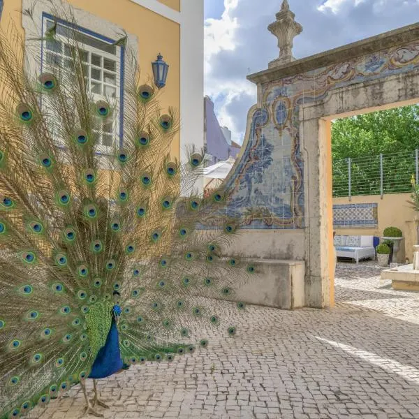Solar do Castelo - Lisbon Heritage Collection - Alfama，位于里斯本的酒店