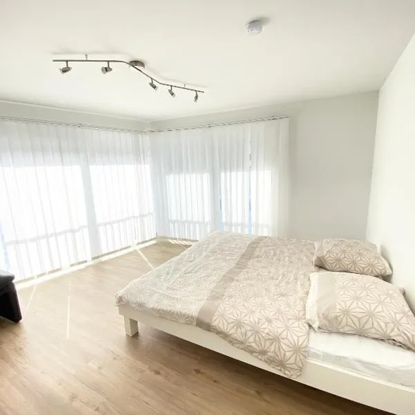 Modern One Bedroom + Bathroom Apartment, 10 min from Basel City，位于莱茵河畔威尔的酒店