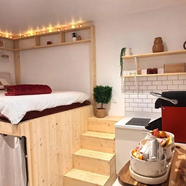 Le studio des Ambans，位于阿让的酒店