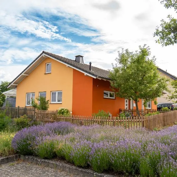 Ferienhaus Zum Feldblick，位于安德纳赫的酒店