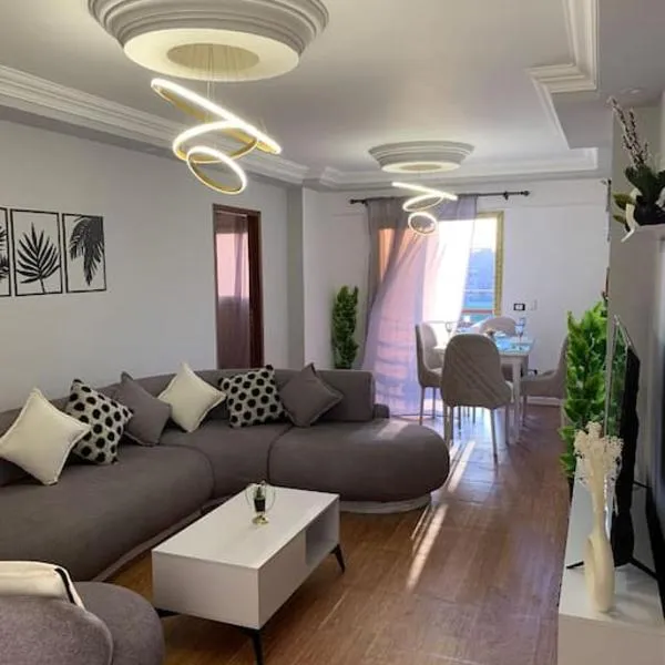 Nile View Cozy Appartment,位于开罗的酒店