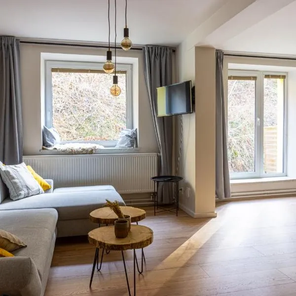 Apartmány Mýtinka - Jeseníky，位于耶塞尼克的酒店