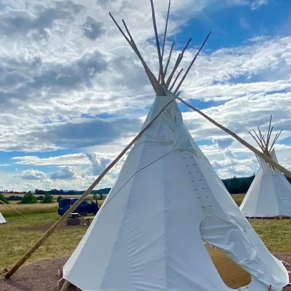 Alpaka-Tipi-Park，位于巴德塞尔佐根的酒店