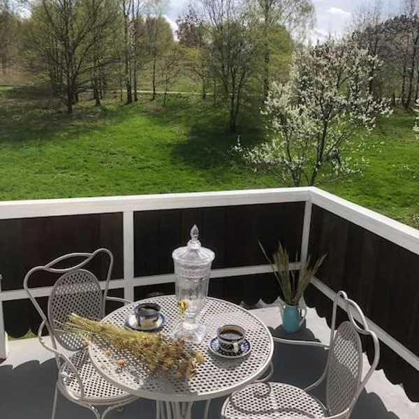 W Karkonoszach na Chacie #SAUNA # BILARD #LEŚNY PARK，位于Wojcieszyce的酒店