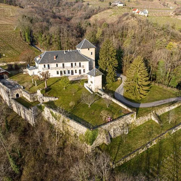 CHATEAU D'APREMONT，位于阿勒瓦尔的酒店