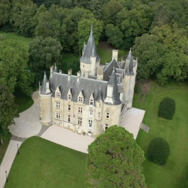 Château d'Amenon à 35mn du circuit du Mans et 35mn de Tours，位于La Chapelle-aux-Choux的酒店