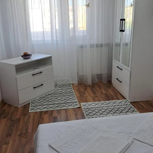 Apartament Nicol，位于Dudaşu的酒店