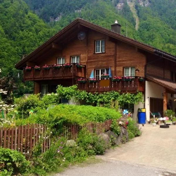 Alpen Apartment -Für Bergfreunde - Unsere kleine Farm ,Ganz einfach -ganz unkompliziert -ganz relaxd，位于Linthal的酒店