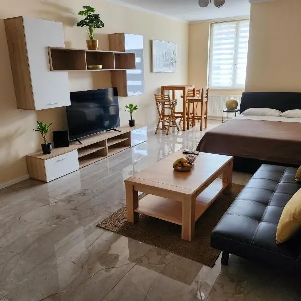 Studio apartman Borlin - bike&moto free storage，位于卡尔洛瓦茨的酒店