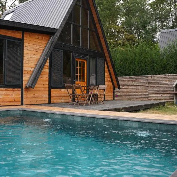 Pentalow Cabin，位于科贾埃利的酒店